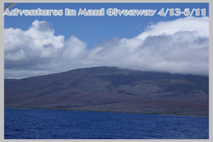 Adventures in Maui Giveaway